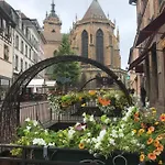 Alsace 3étoiles Prox Marchés De Noël Colmar, Eguisheim, Parking, Calme Oberhergheim