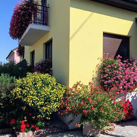 Alsace 3etoiles Climatise Prox Colmar, Eguisheim, Parking, Jardin *