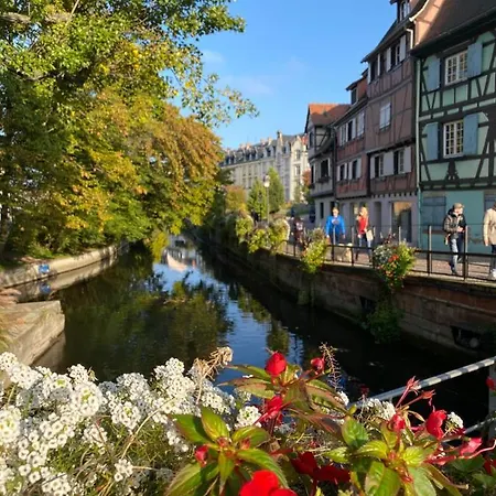 Alsace Independant Jardin Pres Colmar Eguisheim, Apartment *