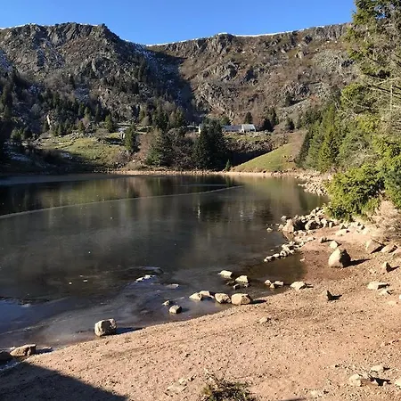 Alsace Gite 3Etoiles Climatise Prox Colmar, Eguisheim, Parking, Jardin