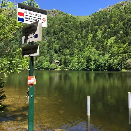 Alsace Gite 3Etoiles Climatise Prox Colmar, Eguisheim, Parking, Jardin * Oberhergheim