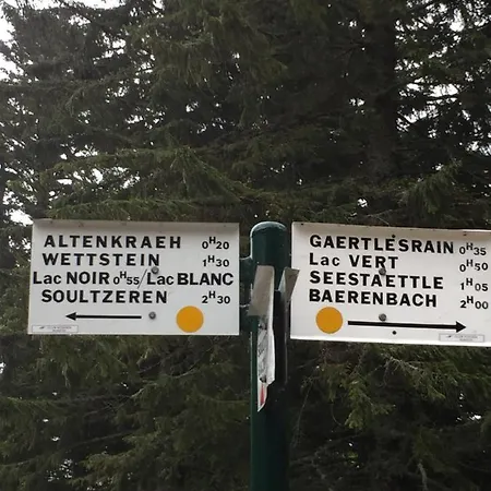 شقة Alsace Gite 3Etoiles Climatise Prox Colmar, Eguisheim, Parking, Jardin Oberhergheim