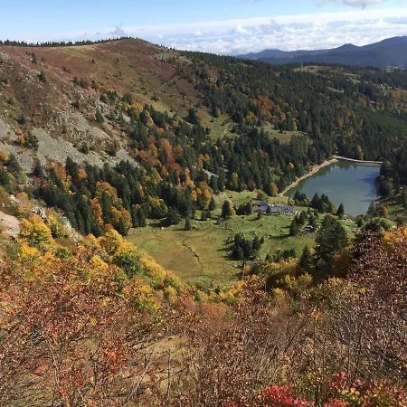 Alsace Gite 3Etoiles Climatise Prox Colmar, Eguisheim, Parking, Jardin 公寓