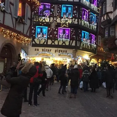 Apartment Alsace Independant Jardin Pres Colmar Eguisheim,
