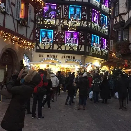 아파트 Alsace 3etoiles Climatise Prox Colmar, Eguisheim, Parking, Jardin
