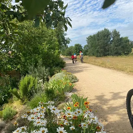 Alsace 3etoiles Climatise Prox Colmar, Eguisheim, Parking, Jardin * Oberhergheim