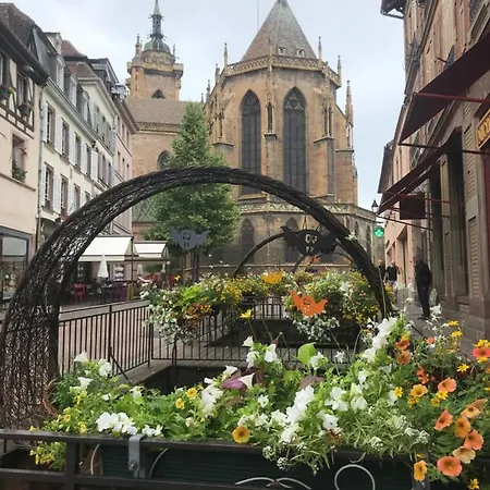 Alsace 3etoiles Climatise Prox Colmar, Eguisheim, Parking, Jardin Oberhergheim