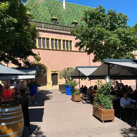 Alsace 3etoiles Climatise Prox Colmar, Eguisheim, Parking, Jardin Oberhergheim
