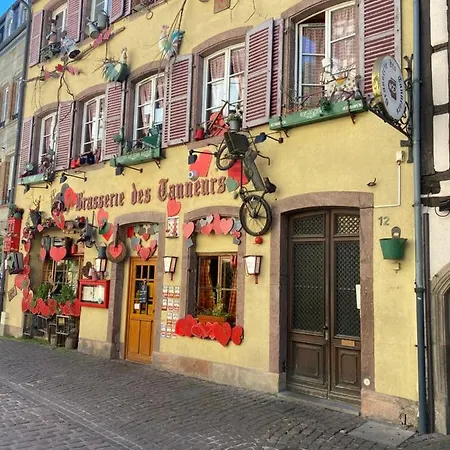 Alsace 3etoiles Climatise Prox Colmar, Eguisheim, Parking, Jardin * Oberhergheim