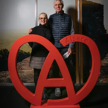 Alsace Gite 3Etoiles Climatise Prox Colmar, Eguisheim, Parking, Jardin Oberhergheim