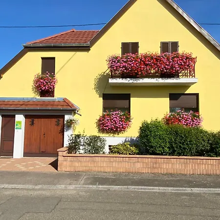 Alsace Gite 3Etoiles Climatise Prox Colmar, Eguisheim, Parking, Jardin *