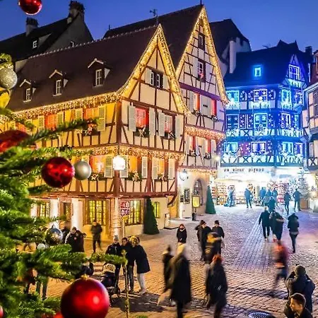 Alsace 3etoiles Climatise Prox Colmar, Eguisheim, Parking, Jardin