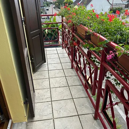 公寓 Alsace Gite 3Etoiles Climatise Prox Colmar, Eguisheim, Parking, Jardin