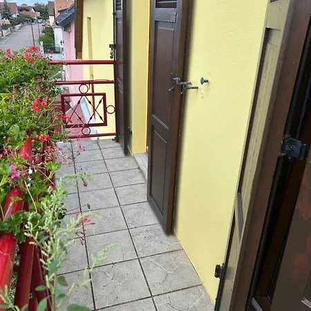 Apartament Alsace 3etoiles Climatise Prox Colmar, Eguisheim, Parking, Jardin